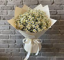 Букет цветов из:  Ромашки #REPLACE_PRED# Бараново