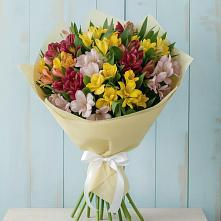 Букет цветов из:  Альстромерии #REPLACE_PRED# Бараново