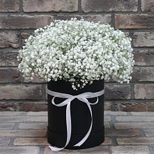 Цветочная композиция из Гипсофила в шляпной коробке в Бараново