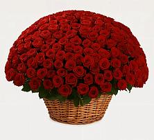 Премиум букет из: Розы в Бараново