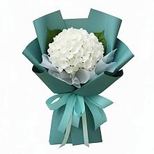 Букет цветов из:  Гортензия в Бараново